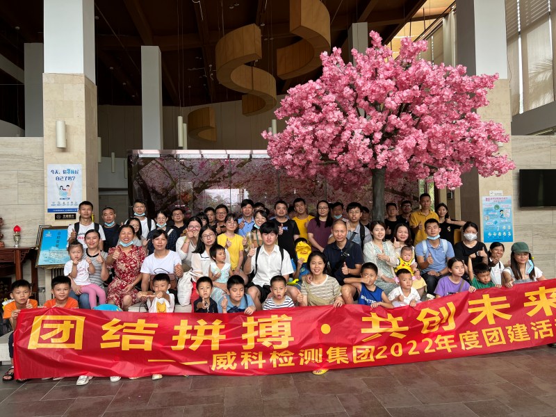 威科檢測·下川島團建之旅｜團結拼搏 共創(chuàng)未來